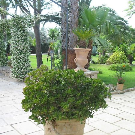 ماتينو Villa Cecilia الغرفة الصورة