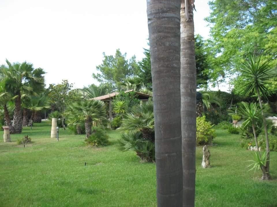 ماتينو Villa Cecilia المظهر الخارجي الصورة
